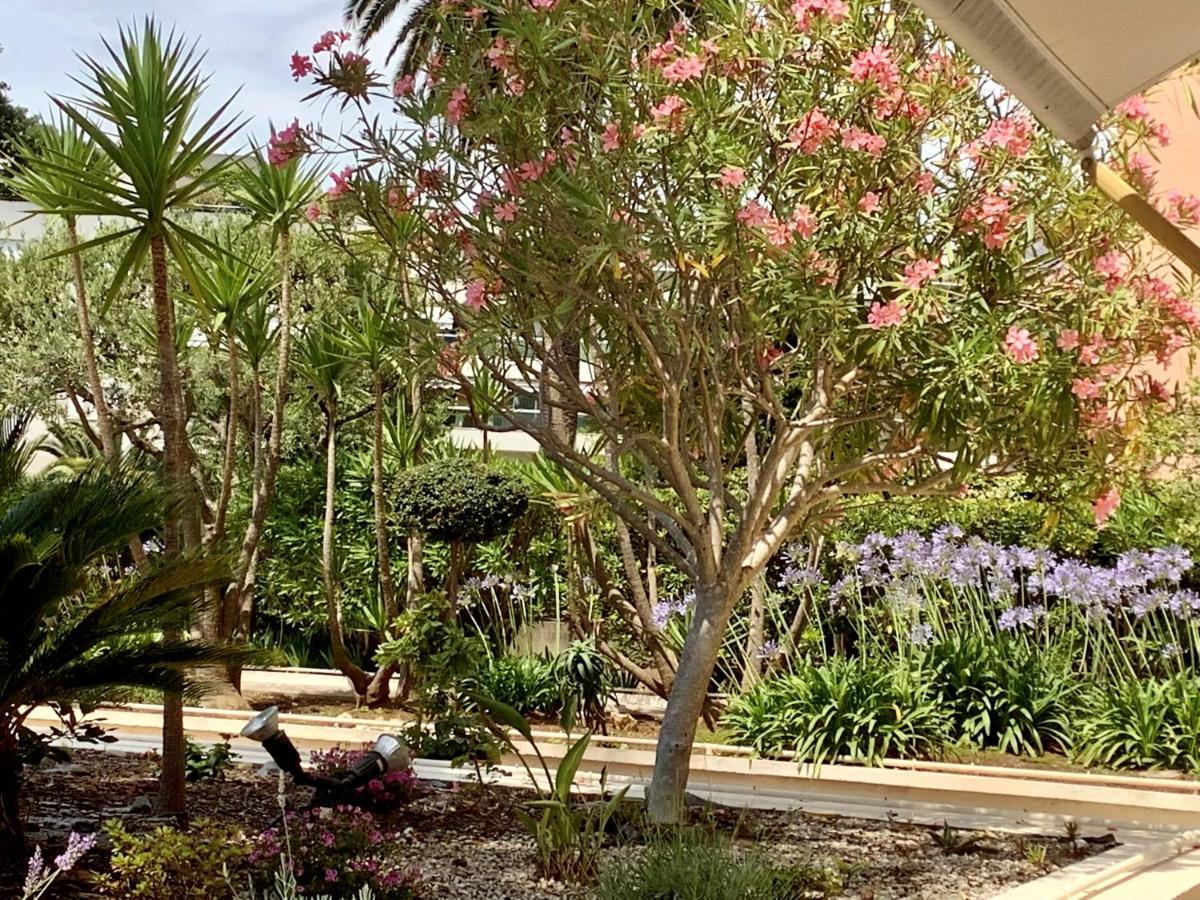 Hotel Diana Vence Exterior foto
