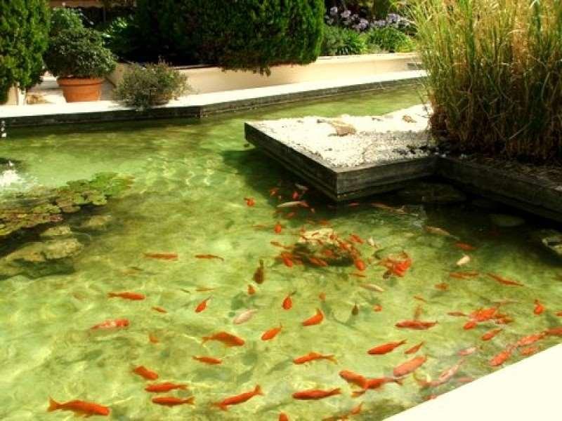 Hotel Diana Vence Exterior foto